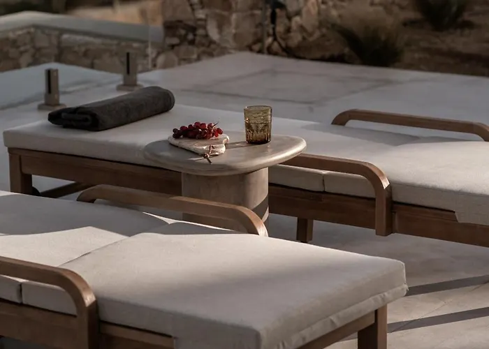 Ekloyitis Vila Finikas (Syros)