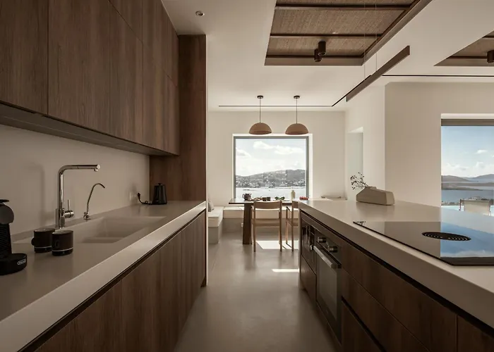 Ekloyitis Finikas (Syros)